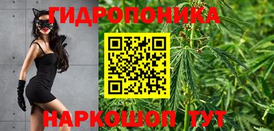 ALPHA PVP Дубна