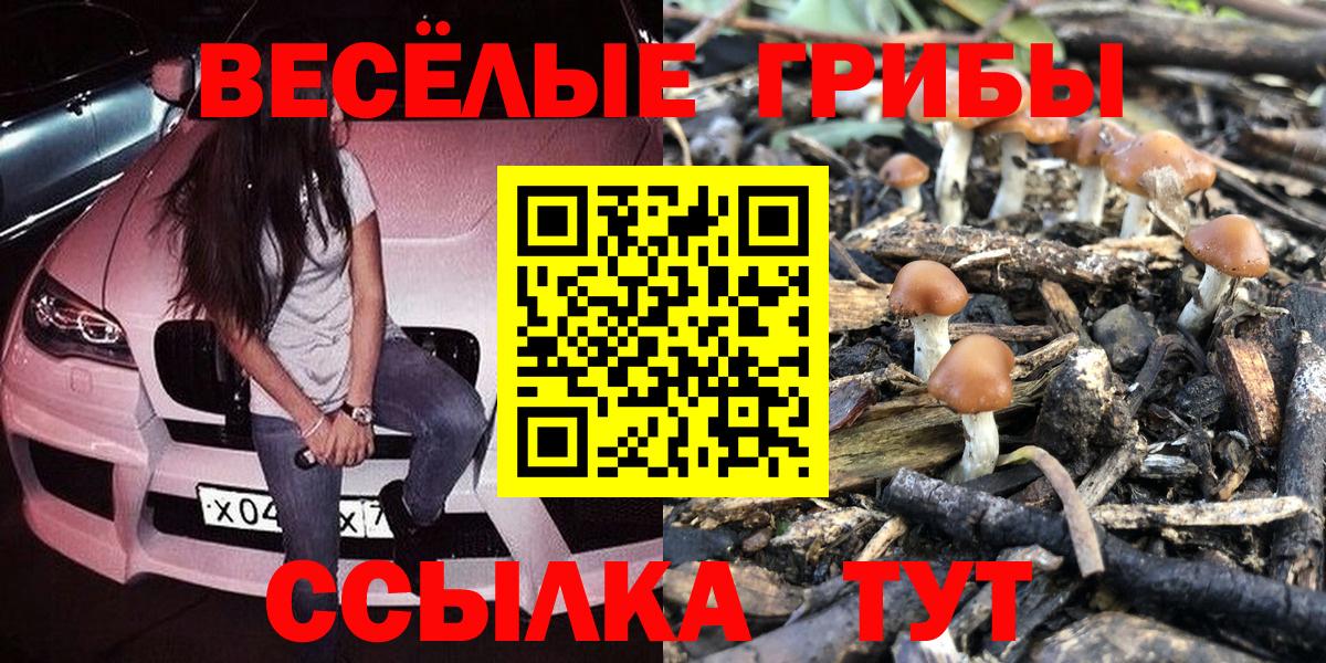 Галлюциногенные грибы ЛСД Можга